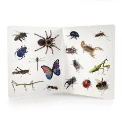¡Animales!
