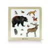 Animales del bosque 2