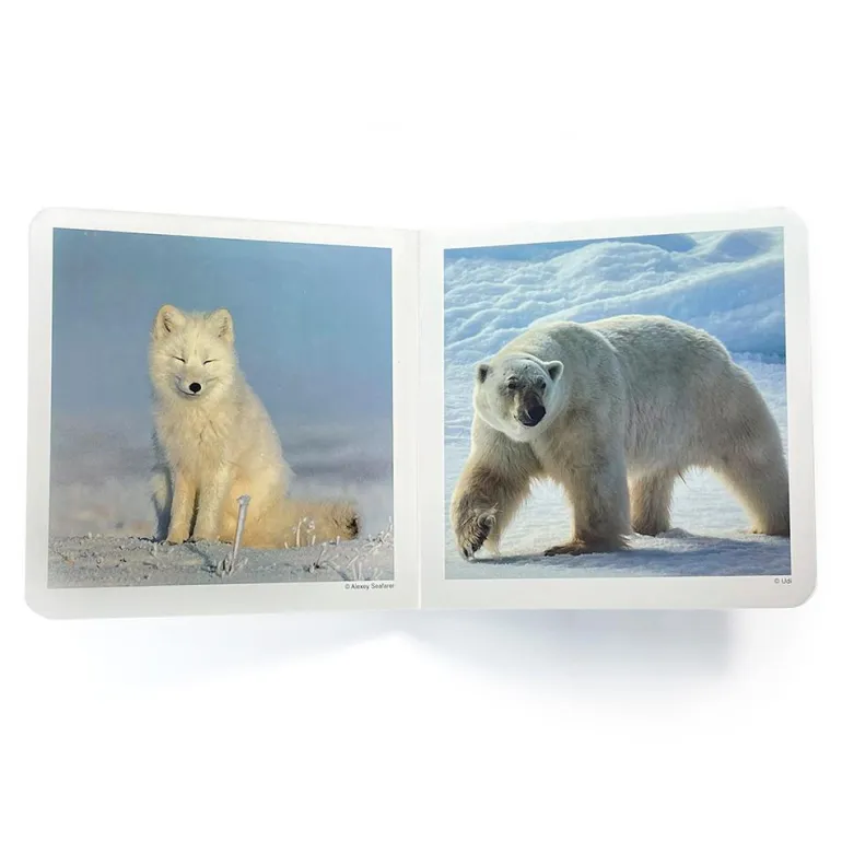 Animales polares