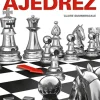 APRENDO A JUGAR AL AJEDREZ