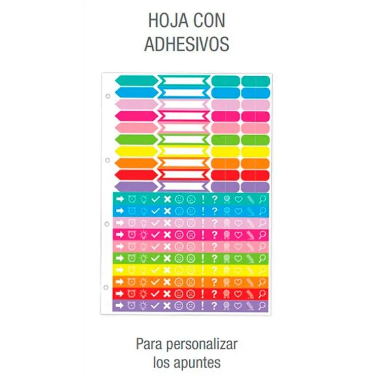 Archivador A4 4anillas con recambio colores surtidos