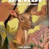 Bambi