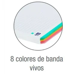 Bloc A4 cuadro 5mm. 160 hojas tapa plástico