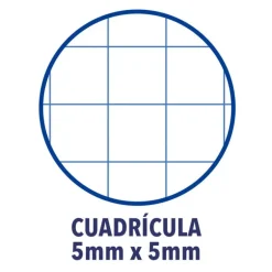Bloc A4 cuadro 5mm. 150hj tapa extradura Oxford