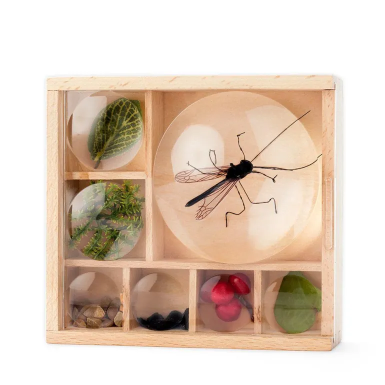 Caja con lupas para observación de insectos