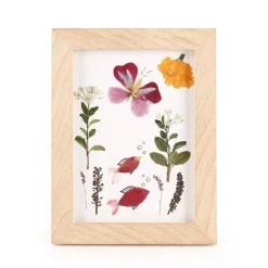 Crea flores prensadas con marco