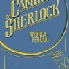 El camino de Sherlock