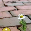 El espíritu del último verano