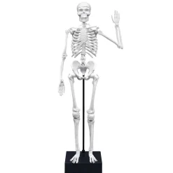 Esqueleto 45cm para ensamblar