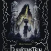 Frankenstein o el moderno Prometeo