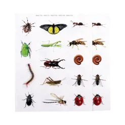 Gomets insectos 2 láminas