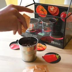 Kit de cultivo invernadero cristal tomates bio con 3 macetas metal