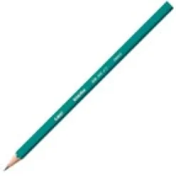 Lápiz grafito caja de 12 unidades Evolution Bic