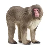 Macaco japonés. Schleich