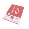 Papel folio cuadro 6mm. 100 hojas con margen y sin taladros