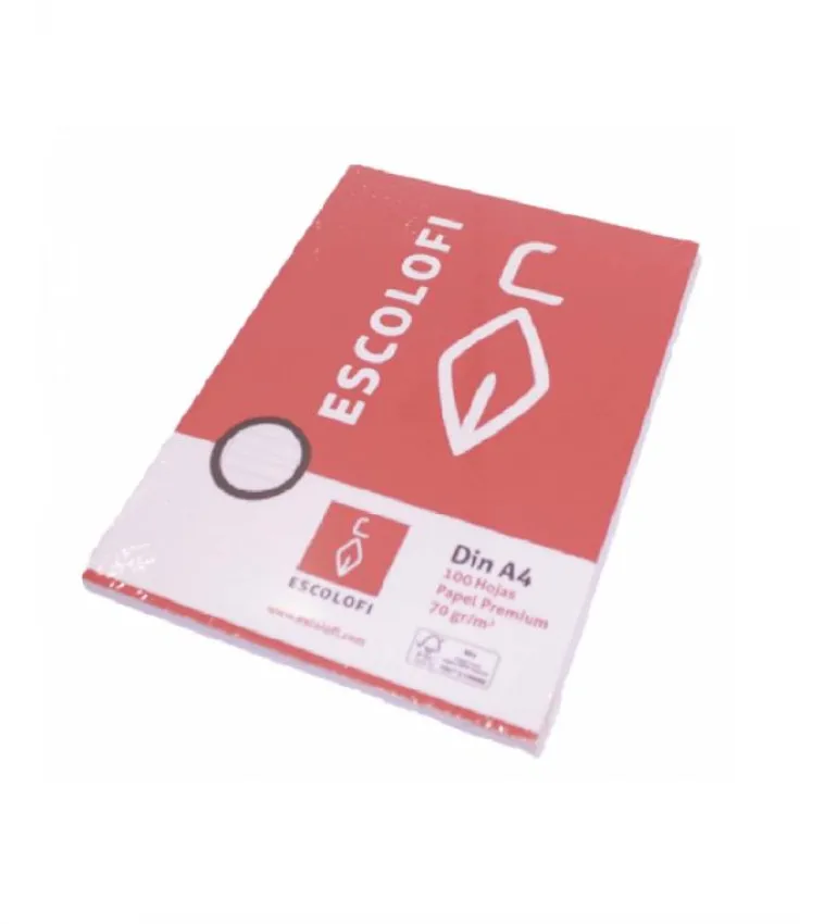 Papel folio cuadro 6mm. 100 hojas con margen y sin taladros
