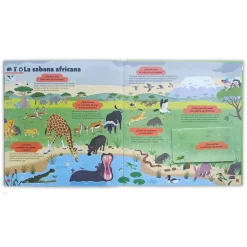 Pequeños curiosos: El libro de la naturaleza