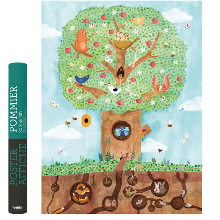 Póster pommier manzano 30x40cm