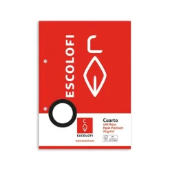 Recambio tamaño cuarto cuadro 3mm. 100 hojas con margen y 2 taladros