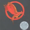 The hunger games 2 catching fire